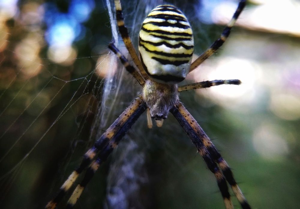 Photograph by Ксения Шпаковская