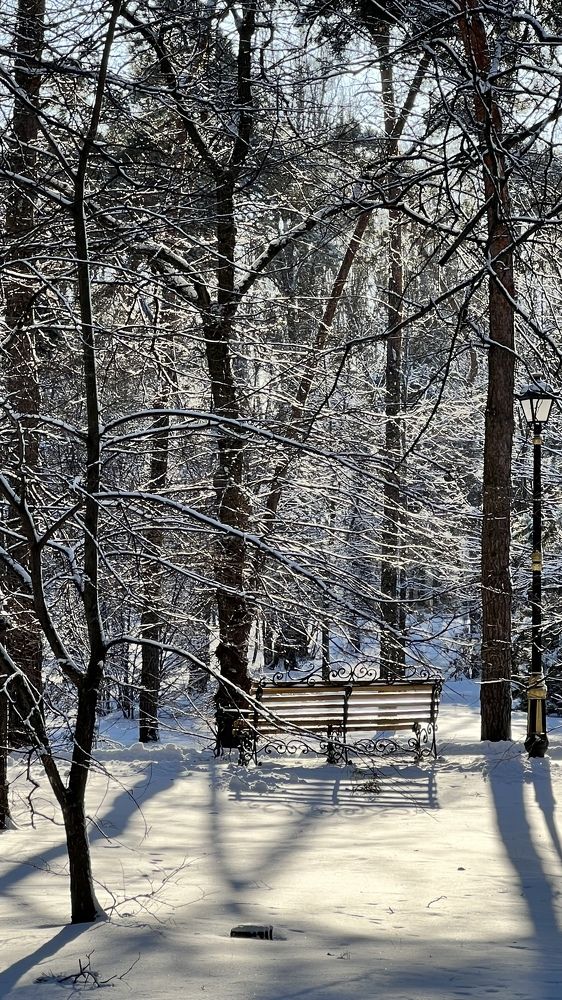 Photograph by Ольга Скрыльник