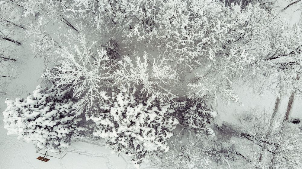 Photograph by Антонина Кузнецова