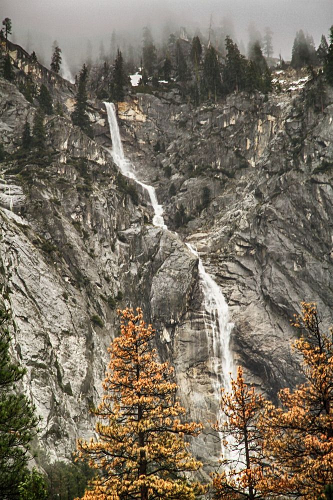 Photograph by Владимир Гречанинов