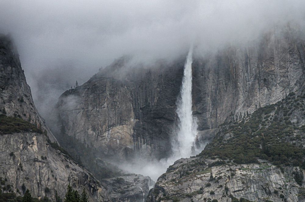 Photograph by Владимир Гречанинов