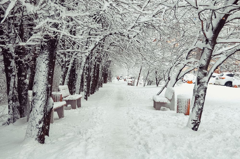 Photograph by Антонина Кузнецова