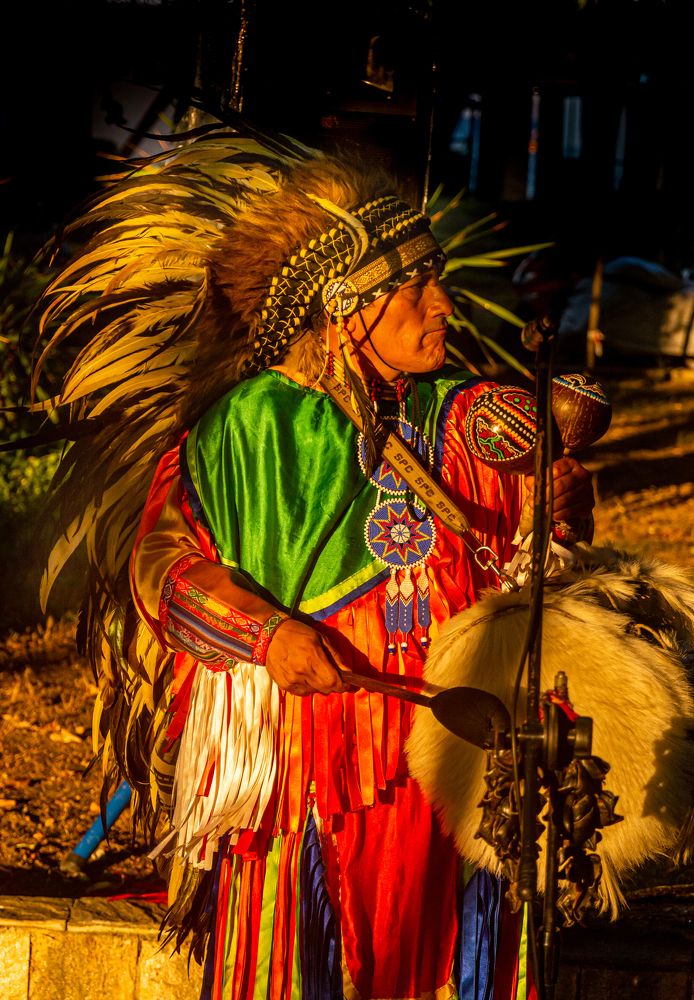 Бродячий музыкант