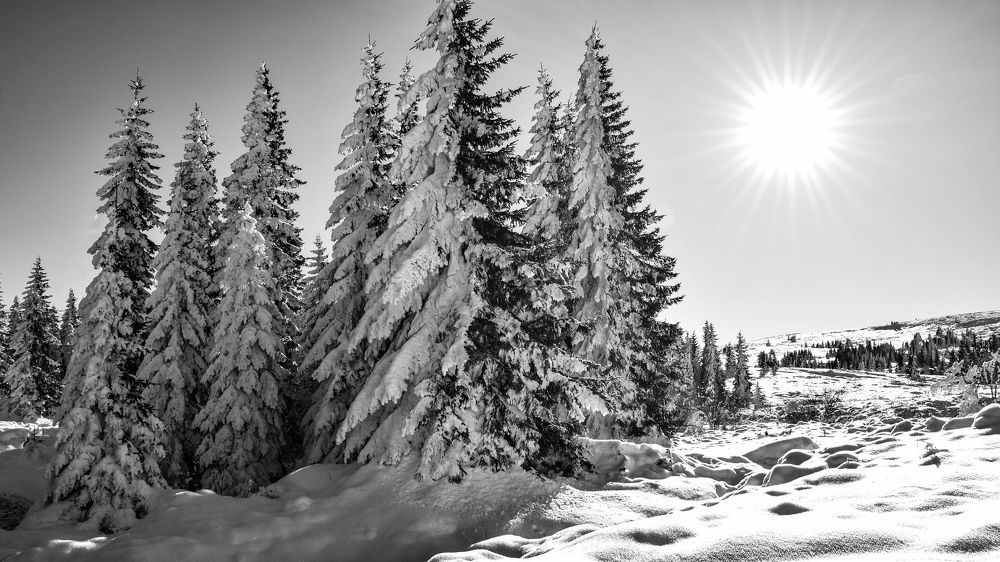 Photograph by Петър ПП