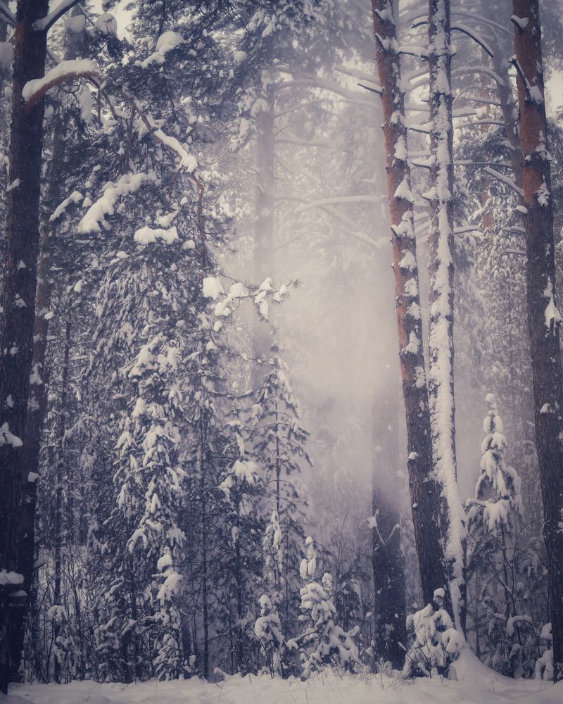 Photograph by Kira Bahvalova