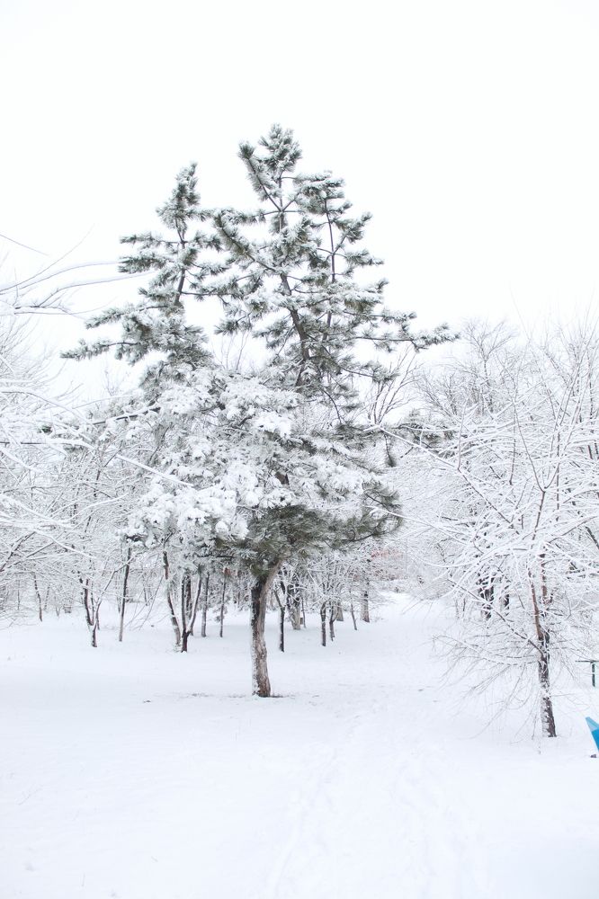 Photograph by Елена Кузнецова