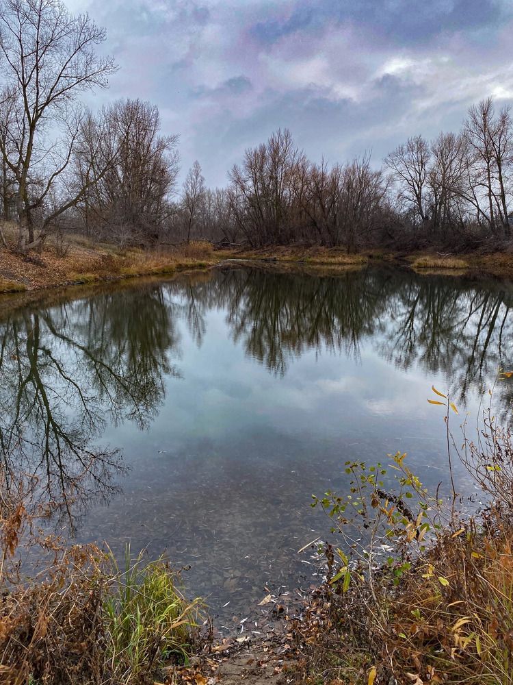 Photograph by Арина