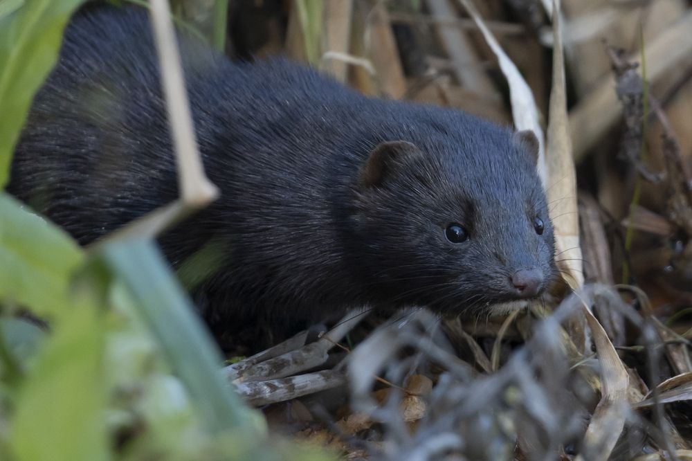 Фотография автора Сергей Затямин