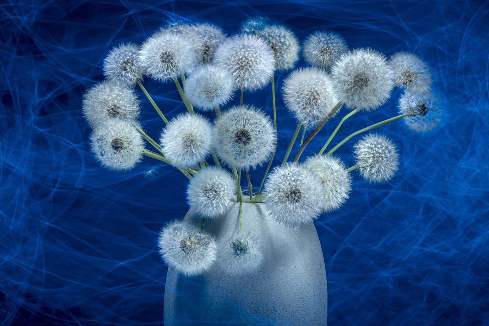 Натюрморт с одуванчиками