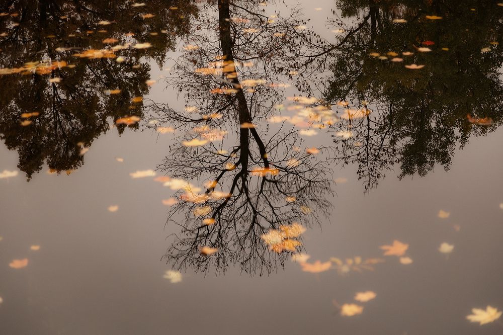 Photograph by Чистякова Валерия