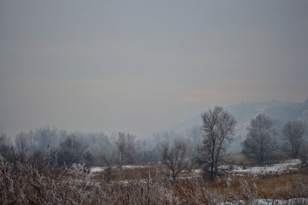 Photograph by Наталья Горбачева