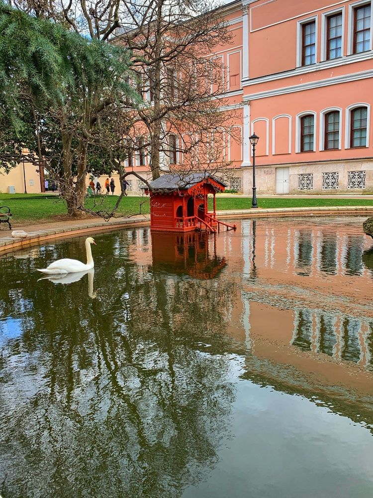 Photograph by Альбина Гараева