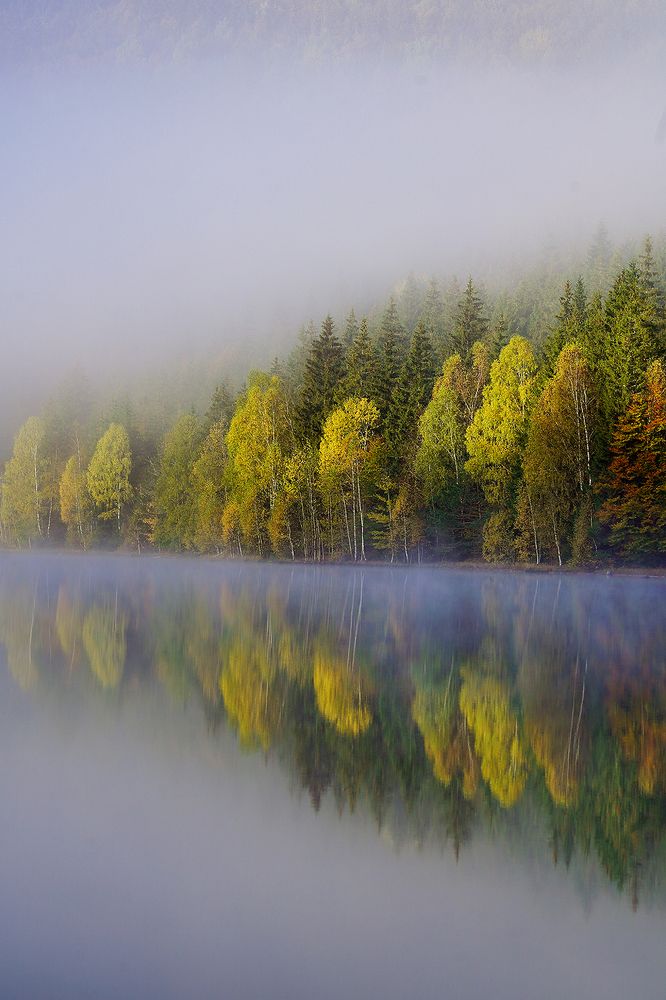 Photograph by Gabriela Vochescu