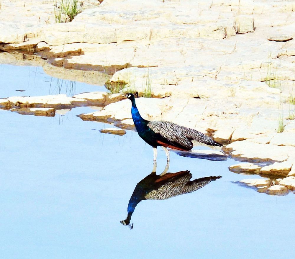 Photograph by sunil kumar mukhopadhyay