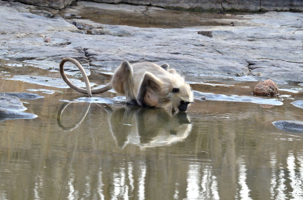 Photograph by sunil kumar mukhopadhyay