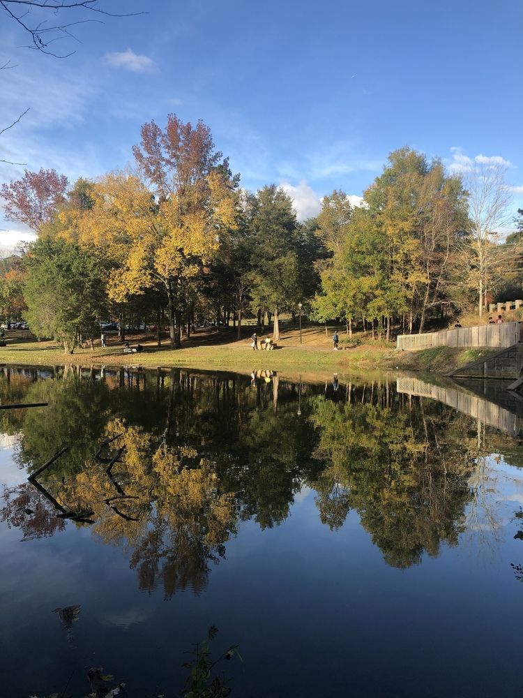 Photograph by Anastasiia Eliseeva