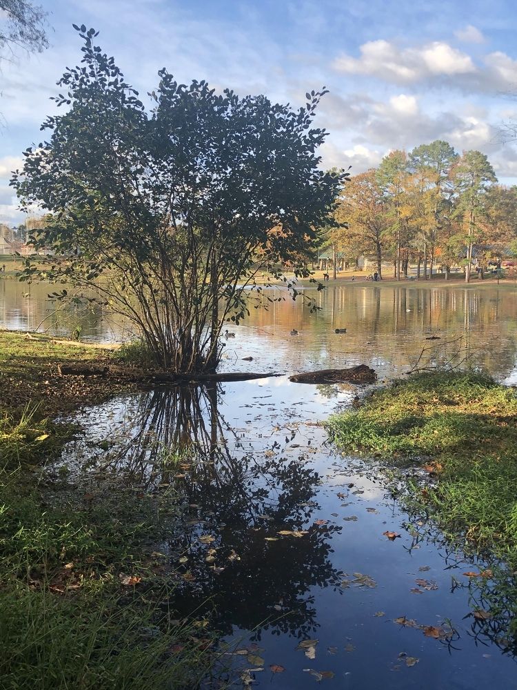 Photograph by Anastasiia Eliseeva