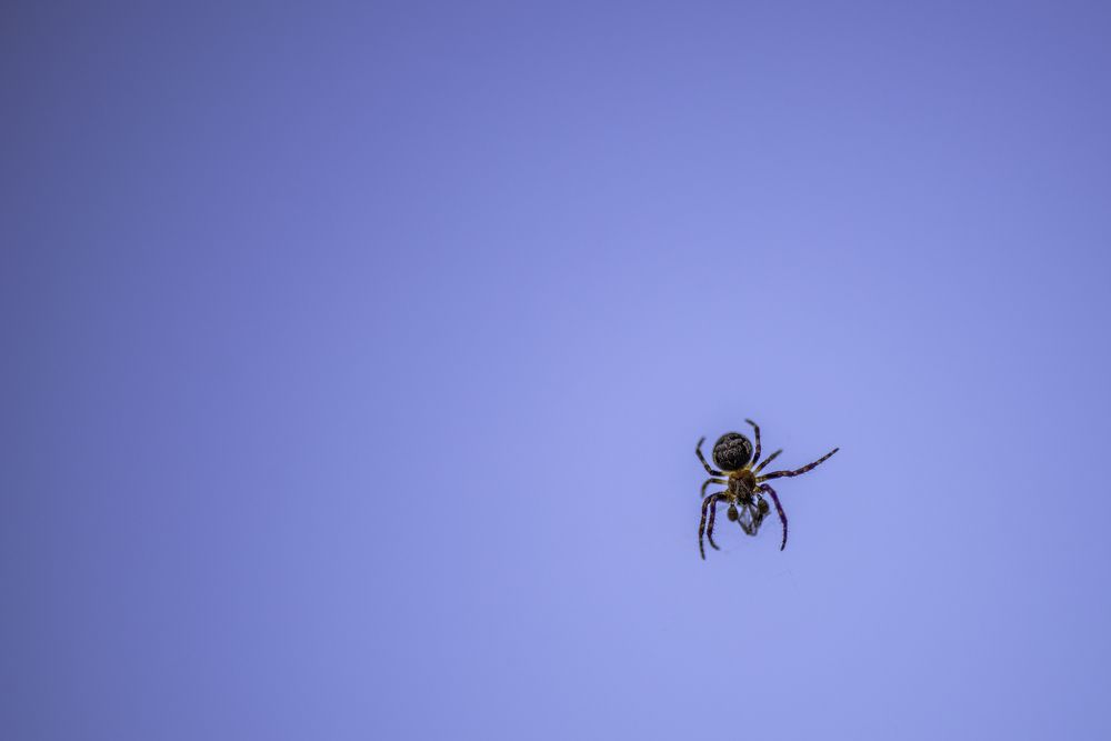 Photograph by Кадырова Марина