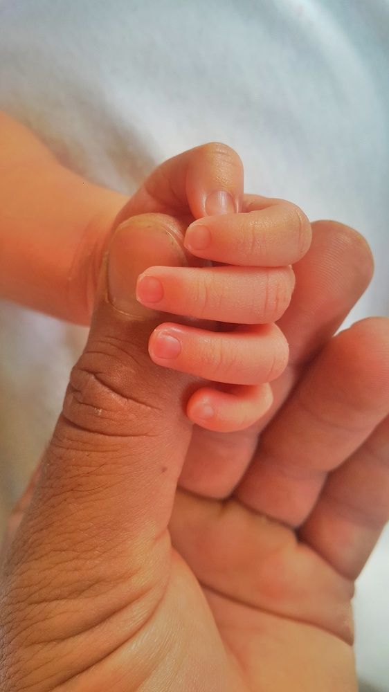 Photograph by Baha Ghaderi