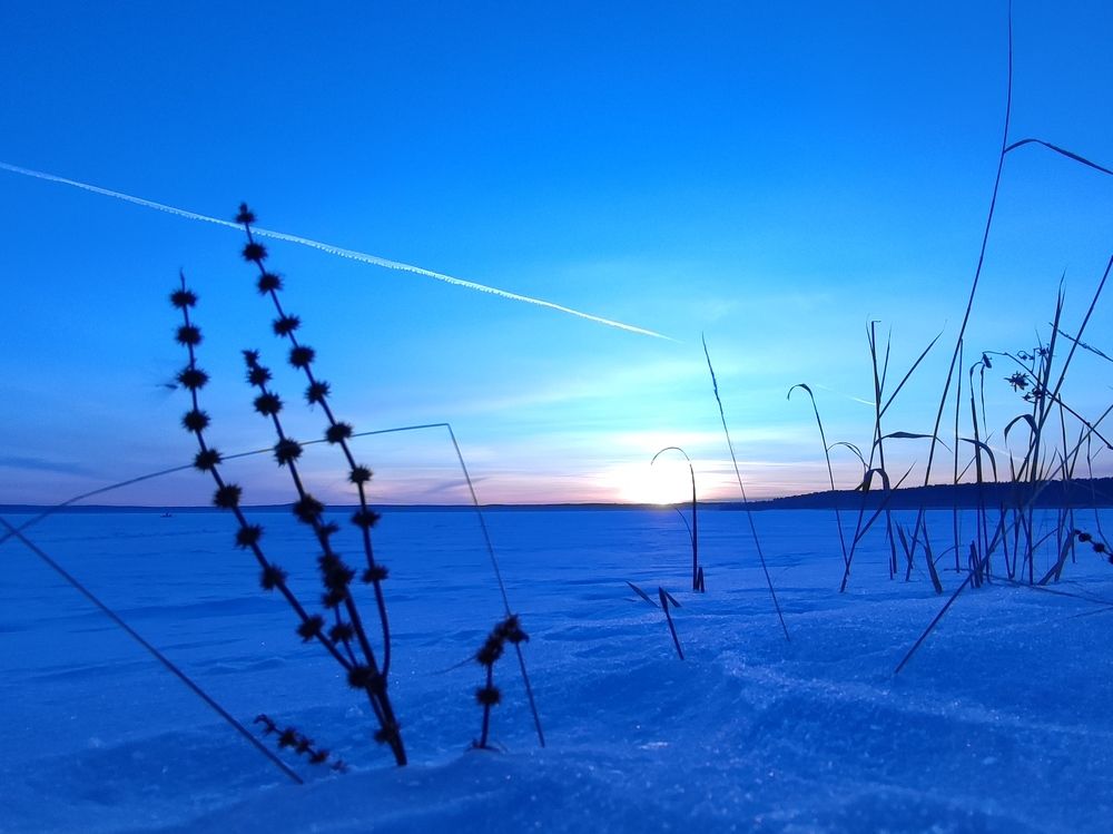 Photograph by Юлия Гинтер