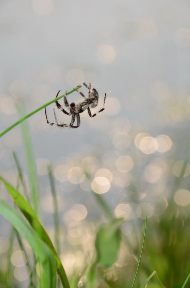 Photograph by Людмила Воропаева