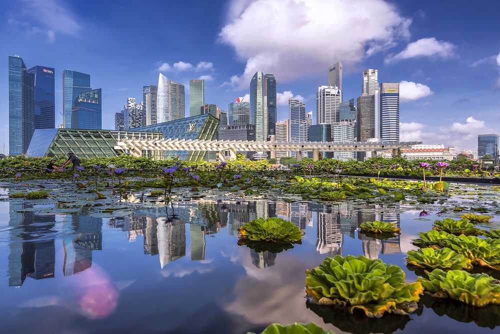 Photograph by PARTHA ROY