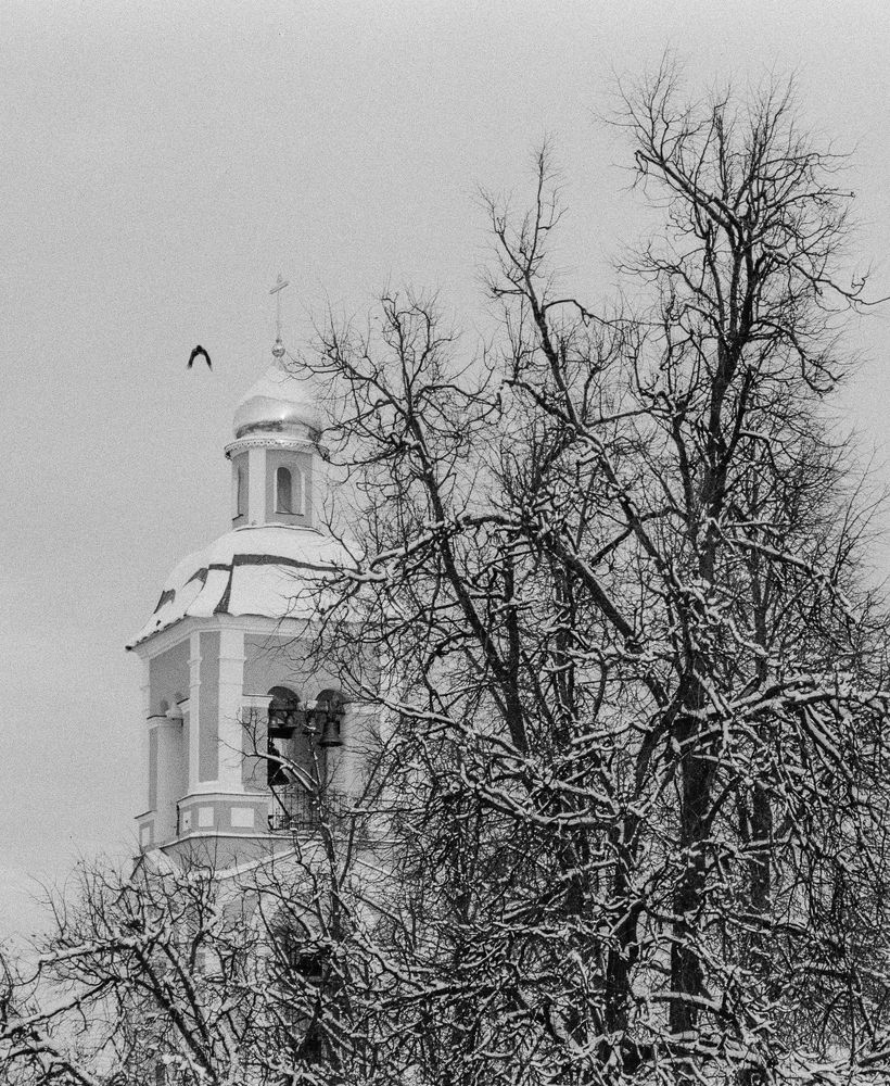 Photograph by Александр Дроздов