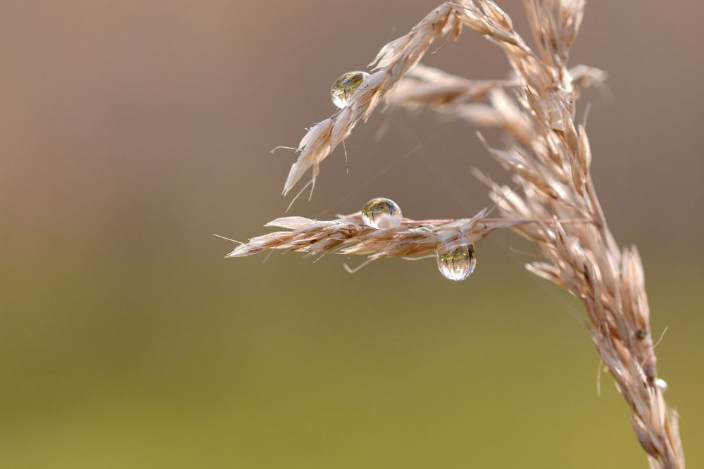 Фотография автора Анастасия