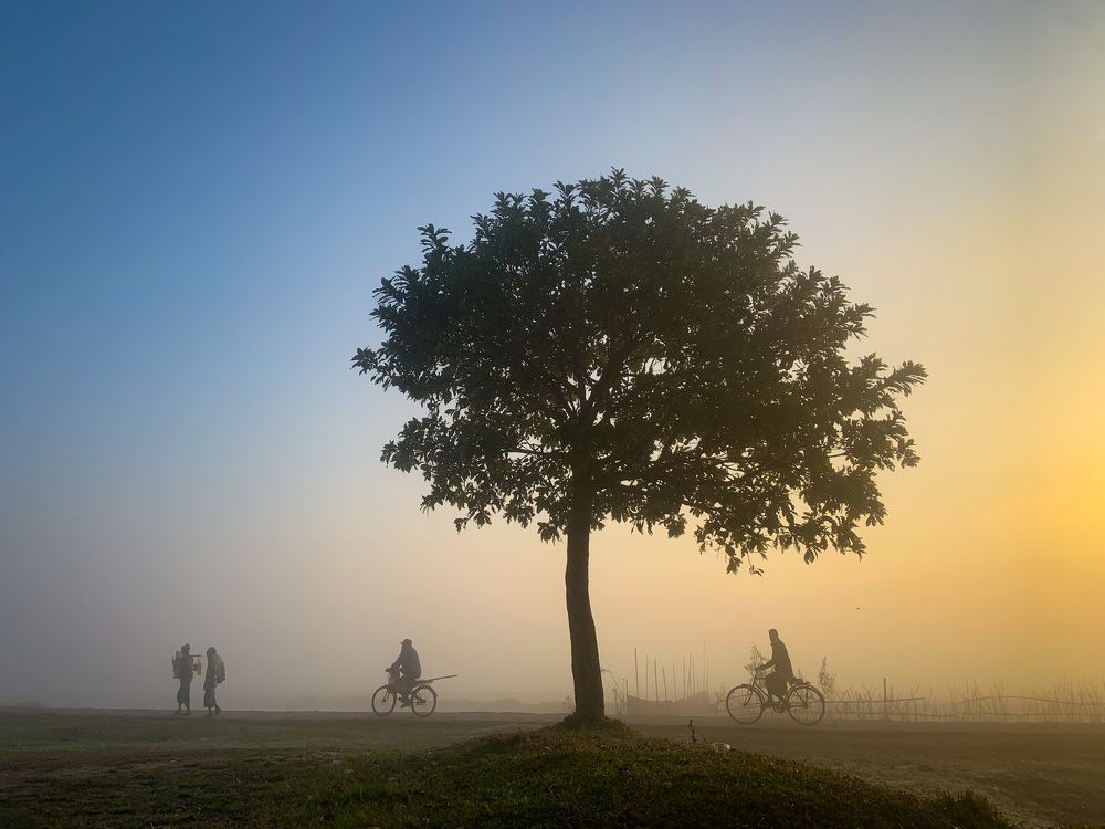 Photograph by Pranto Ghosh