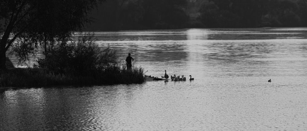 Photograph by Олег Харнаев