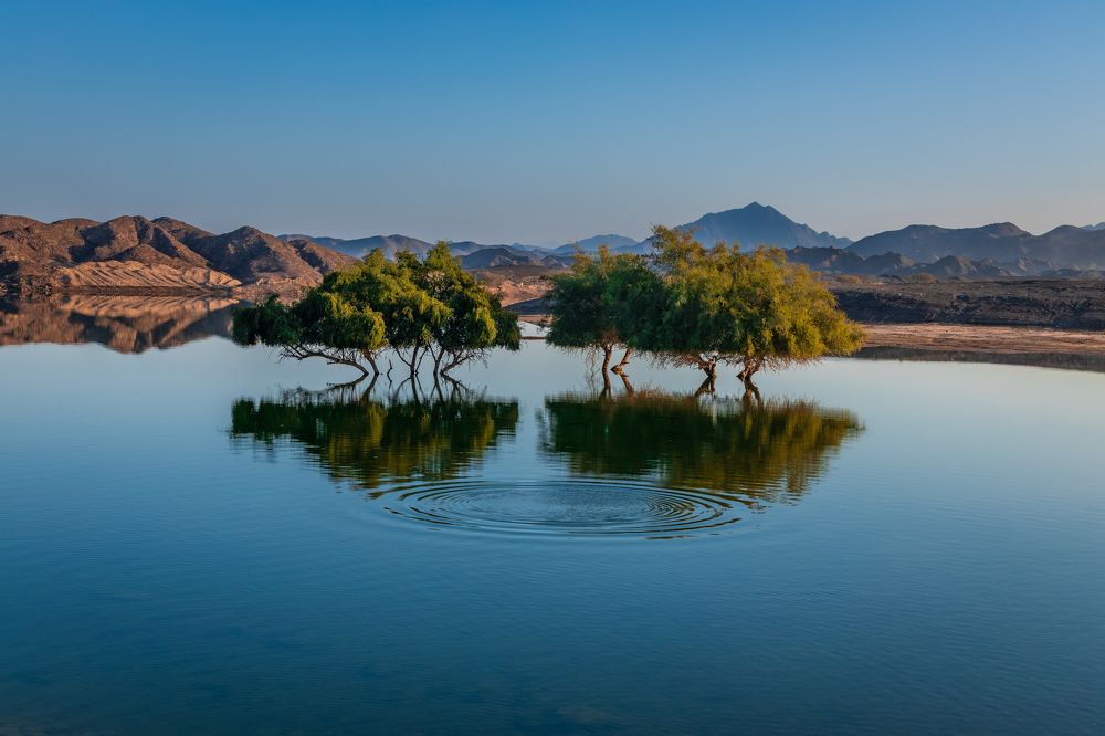 Photograph by Amar Habeeb