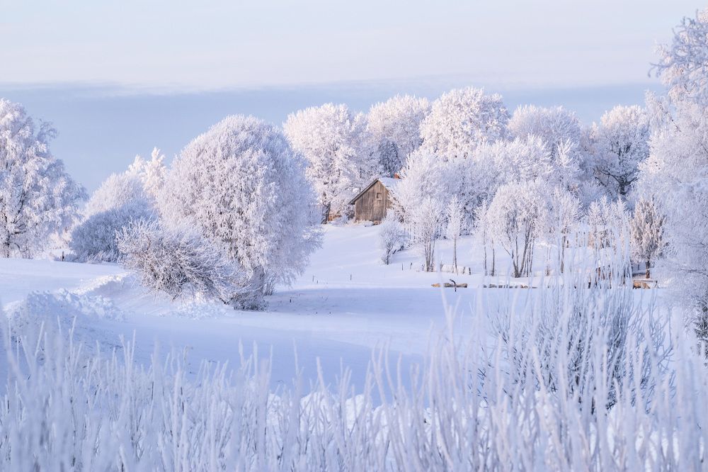 Photograph by Yana Raaga