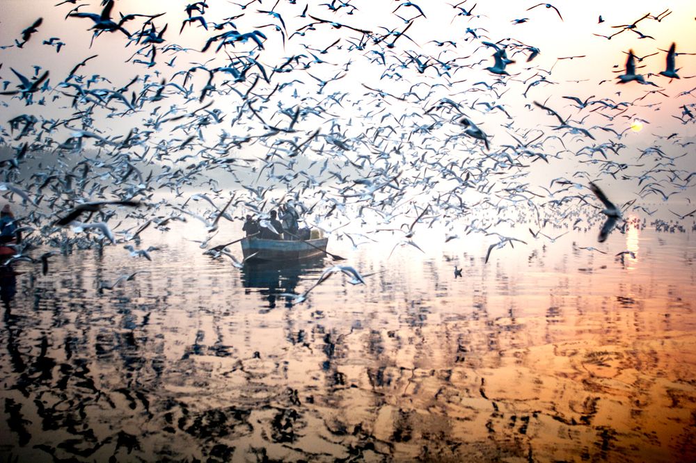 Photograph by Chetan Verma