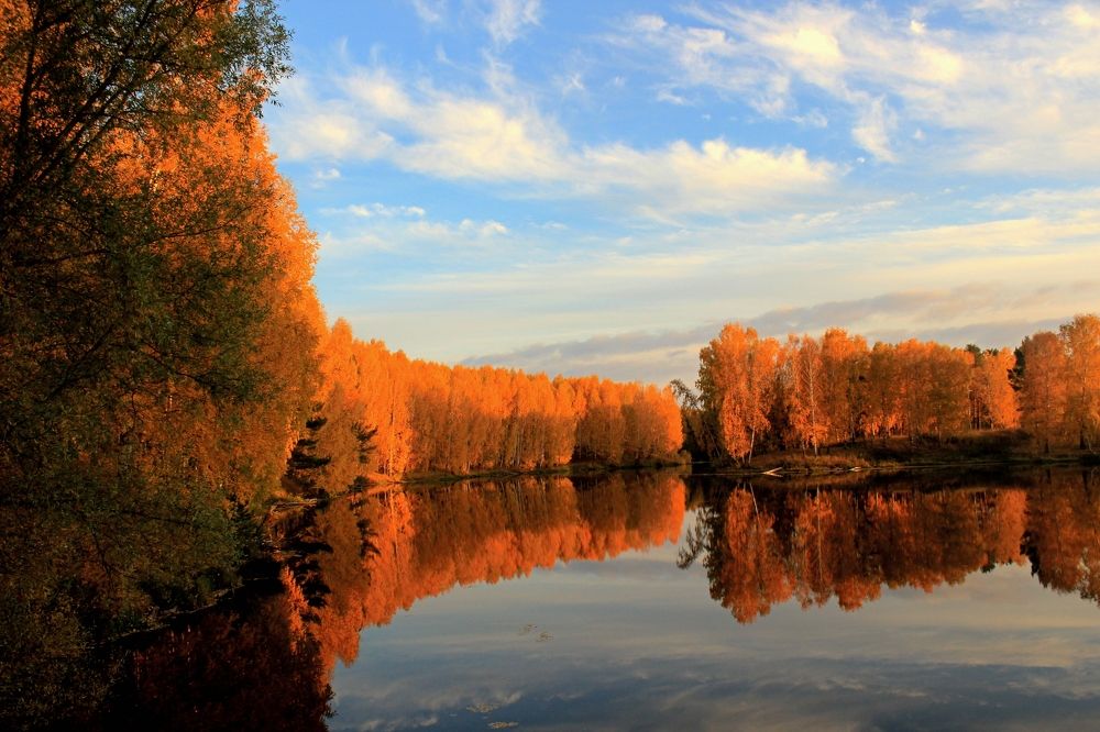 Зеркало осени.
