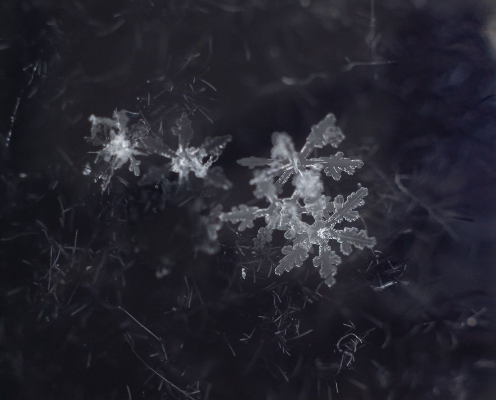 Photograph by Яна Соболева