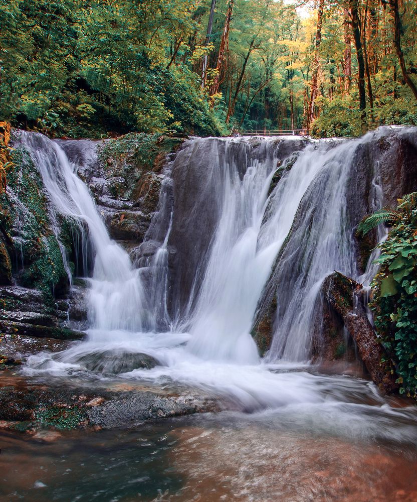 Photograph by SidorOFF Pavel