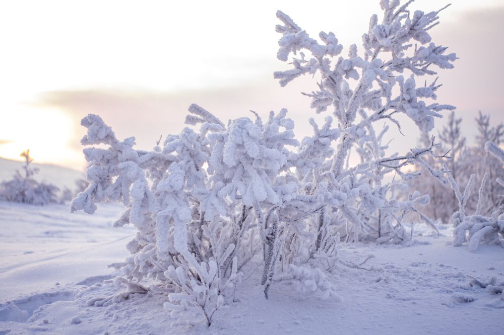 Photograph by Татьяна Решетникова