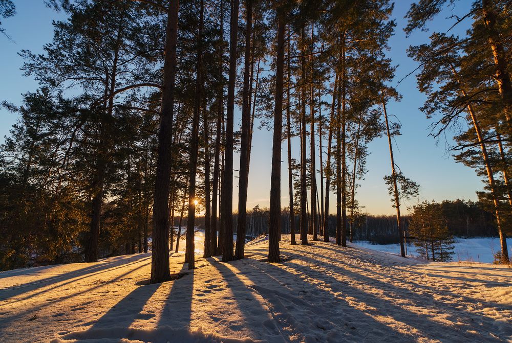 Photograph by Олег Милеев (Каминцев)