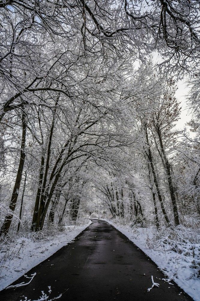 Photograph by Abdulrahman Sawalha