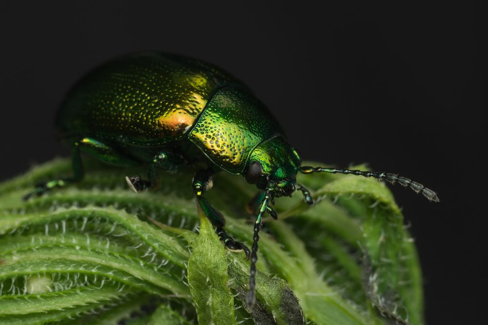 Photograph by Денис Ветренко