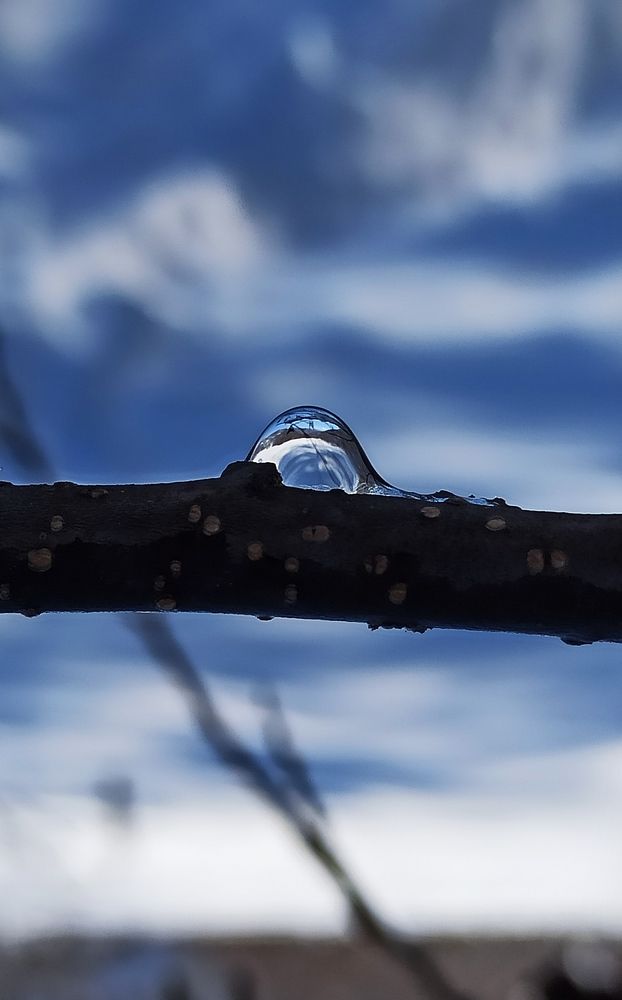 Photograph by Ольга