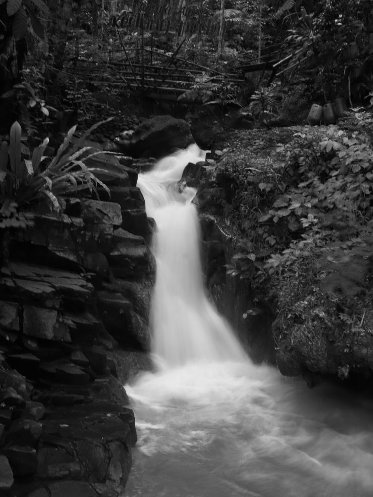 Photograph by Benny Momor