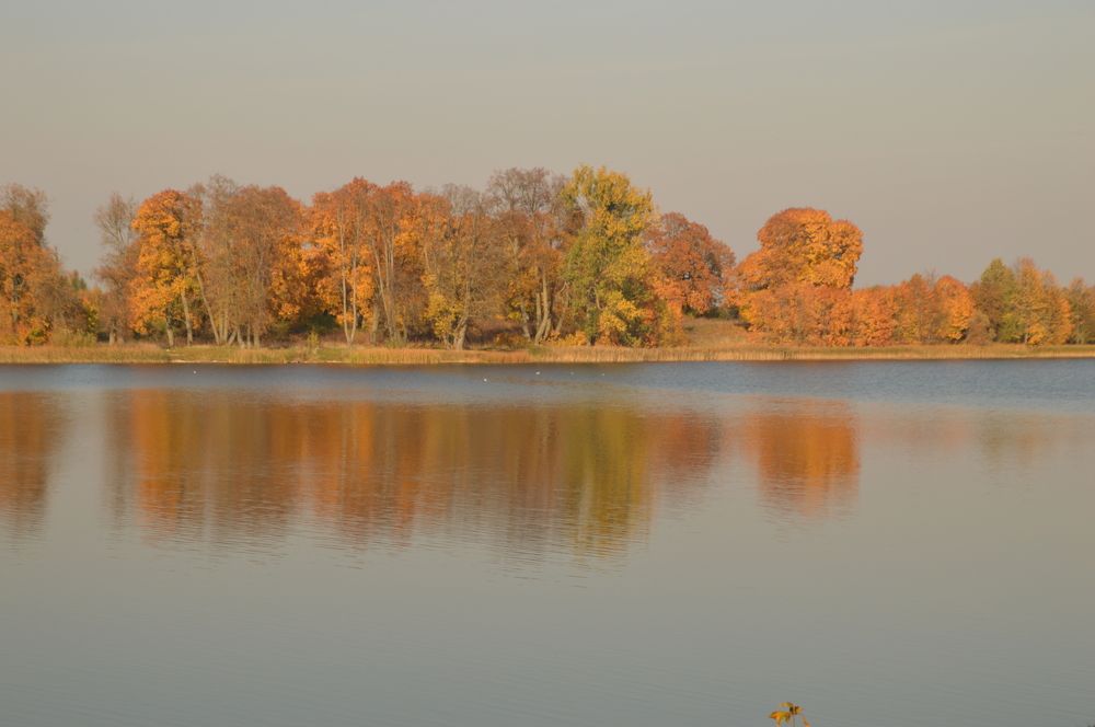 Photograph by Alvydas Ldk