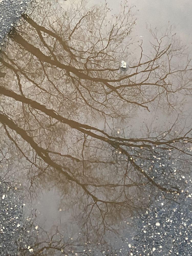 Photograph by Маргарита