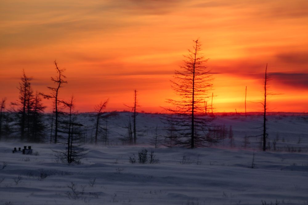 Photograph by Elena Doroshenko