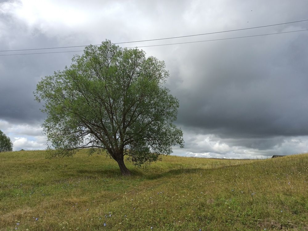 Photograph by Наталия Степанова