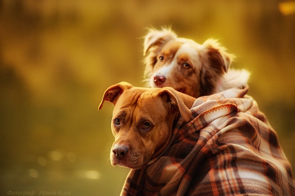 Photograph by Ирина Корх