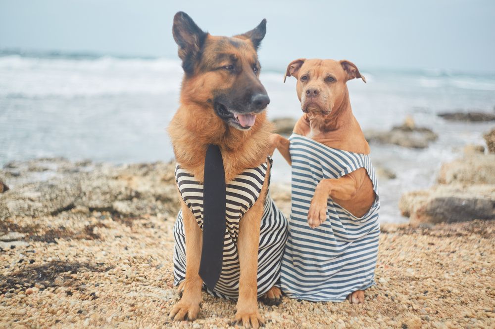 Photograph by Ирина Корх