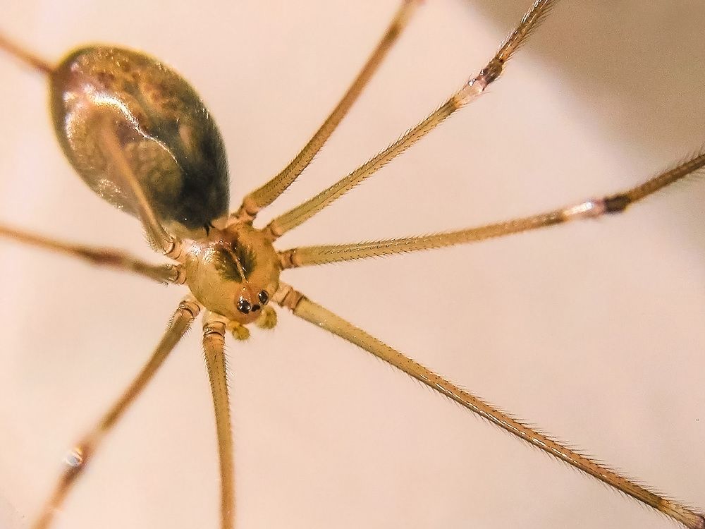 Photograph by ali aliam4x4