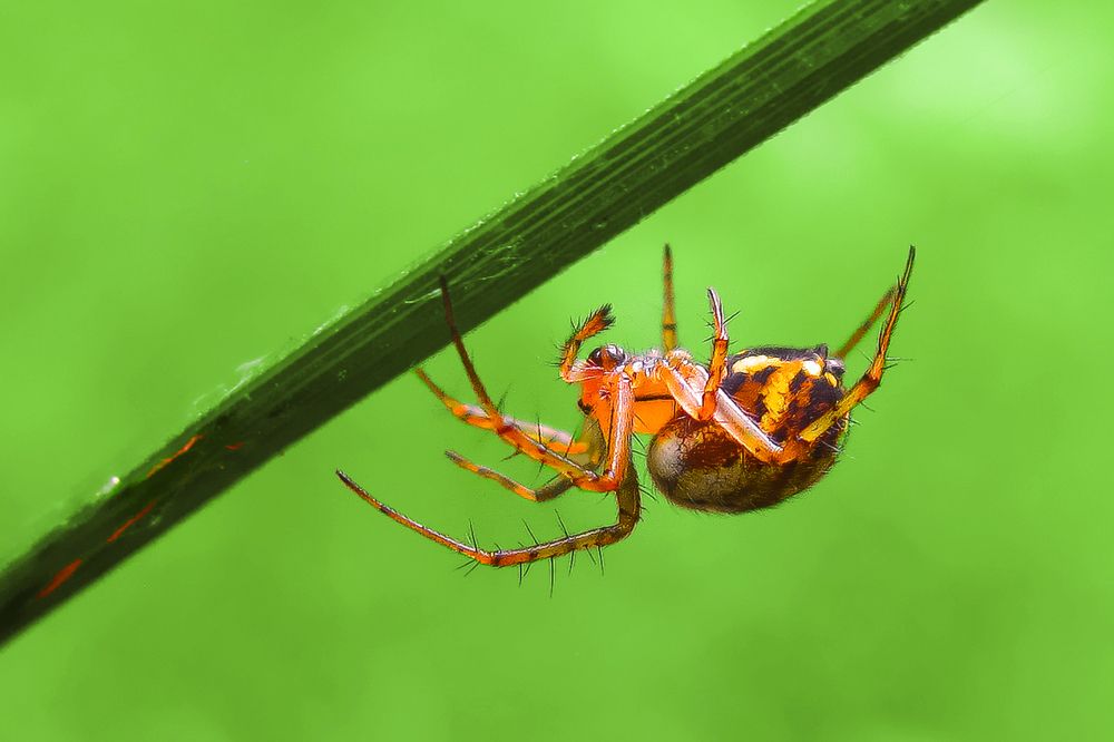 Photograph by ali aliam4x4